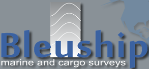 www.bleuship.com
